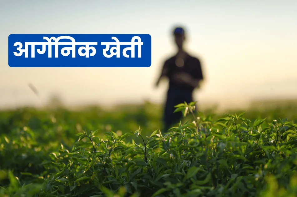 Organic Kheti Kaise Karen
