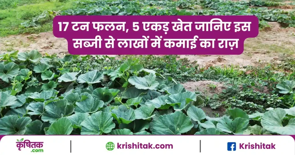 लौकी की खेती