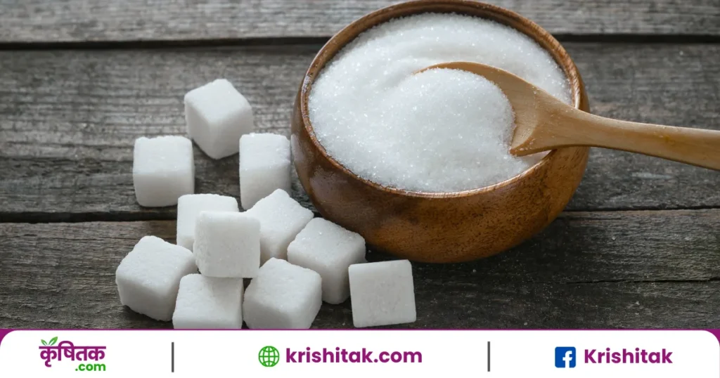 Sugar Production Estimate