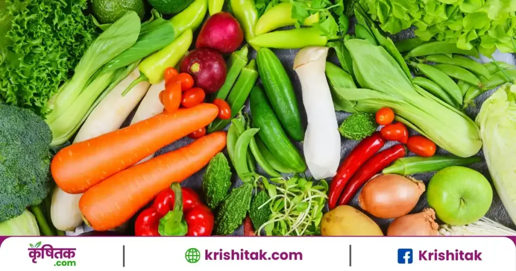 vegetable farming in February