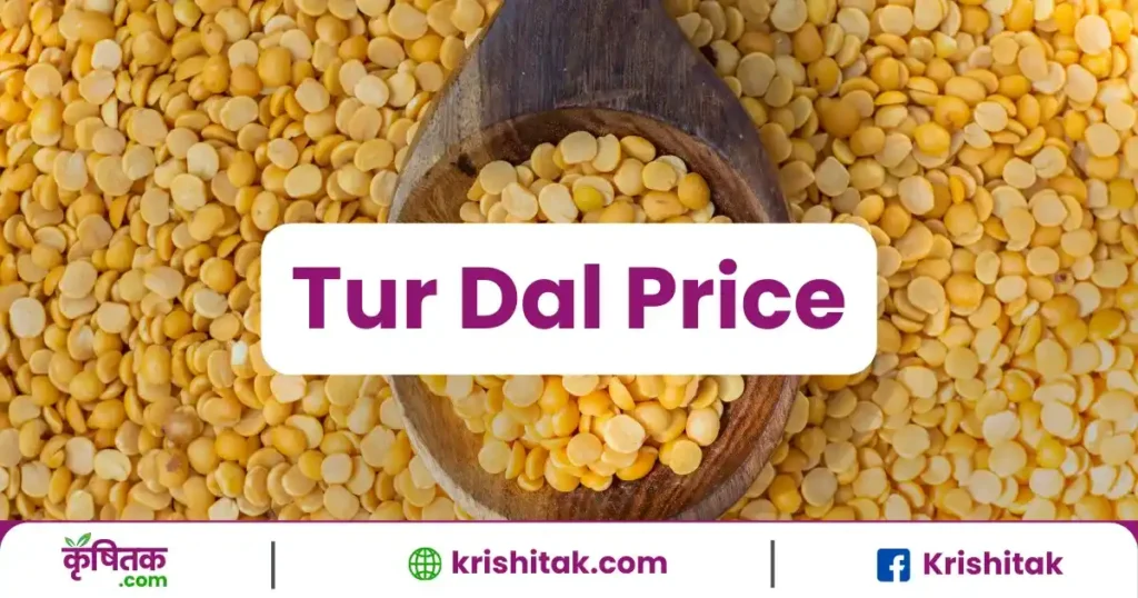 Tur Dal Price