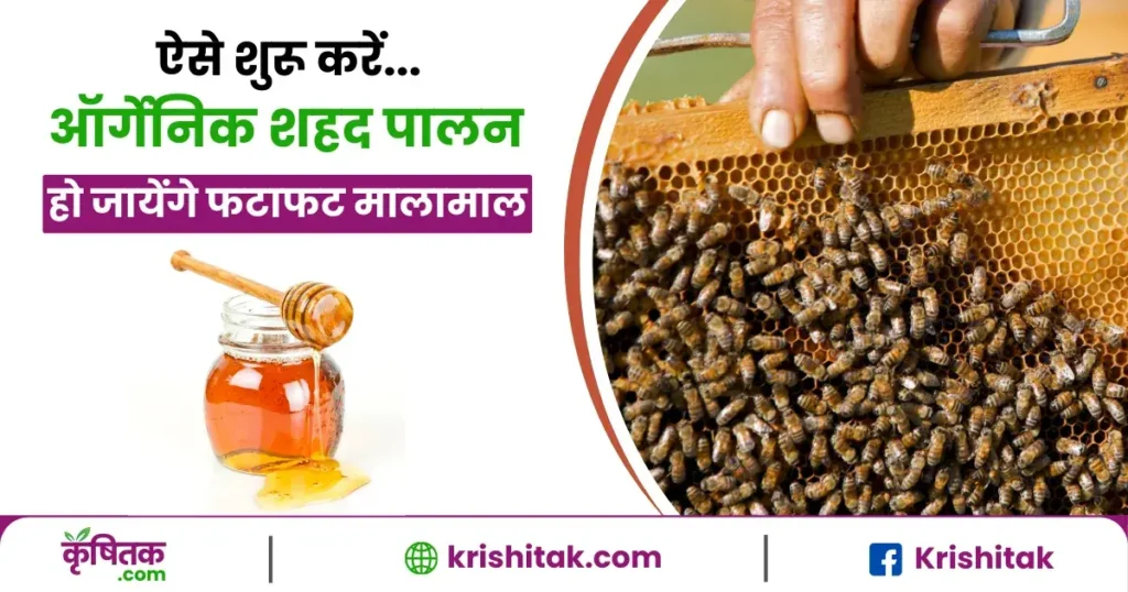 Organic Honey