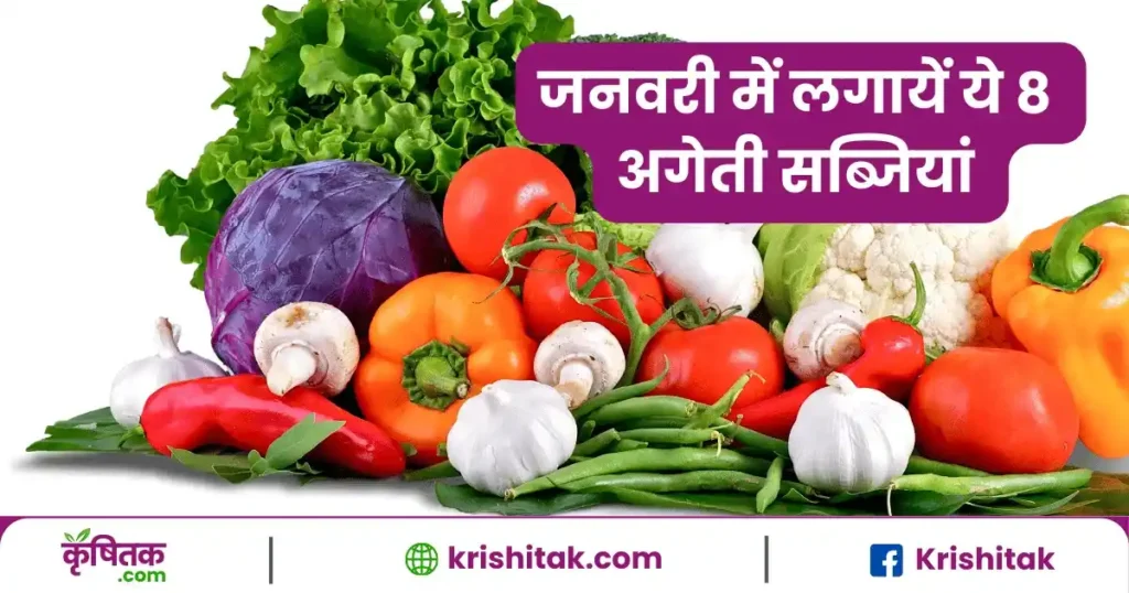 January me kaun si sabji lagaen
