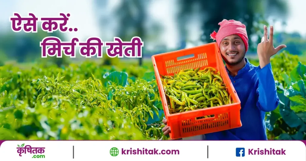 Mirch ki kheti kaise kare