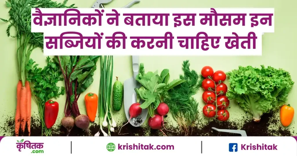 Vegetables Cultivation