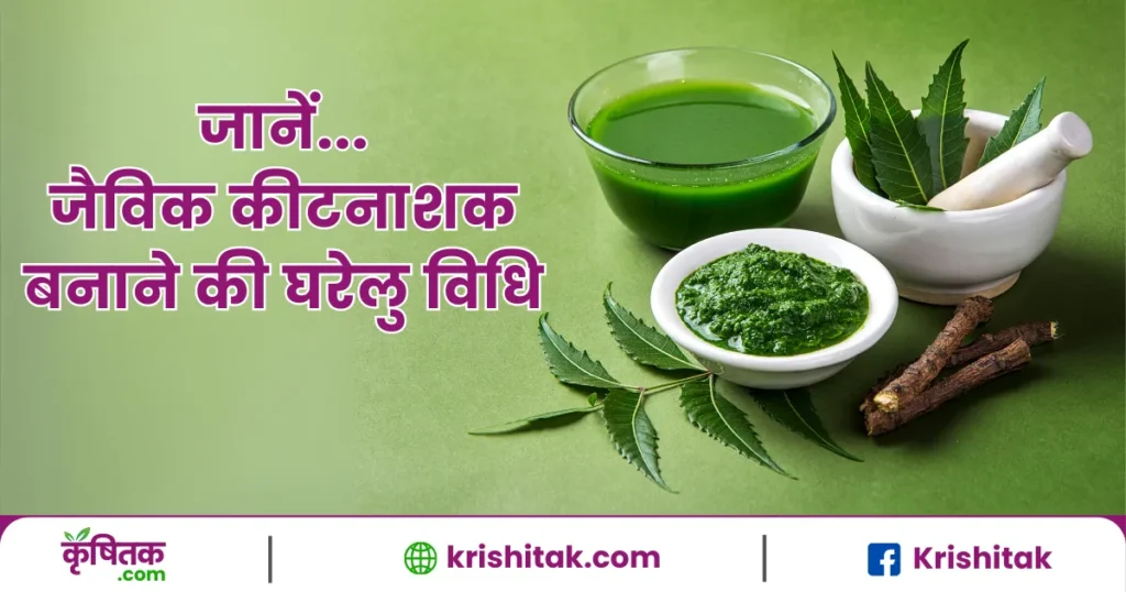 Jaivik kitnashak kaise taiyar karen