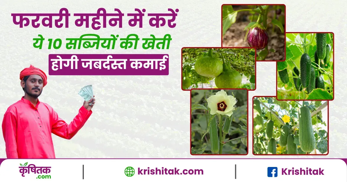 फरवरी महीने में उगाएं ये 10 सब्जियां और कमाएं बंपर मुनाफा