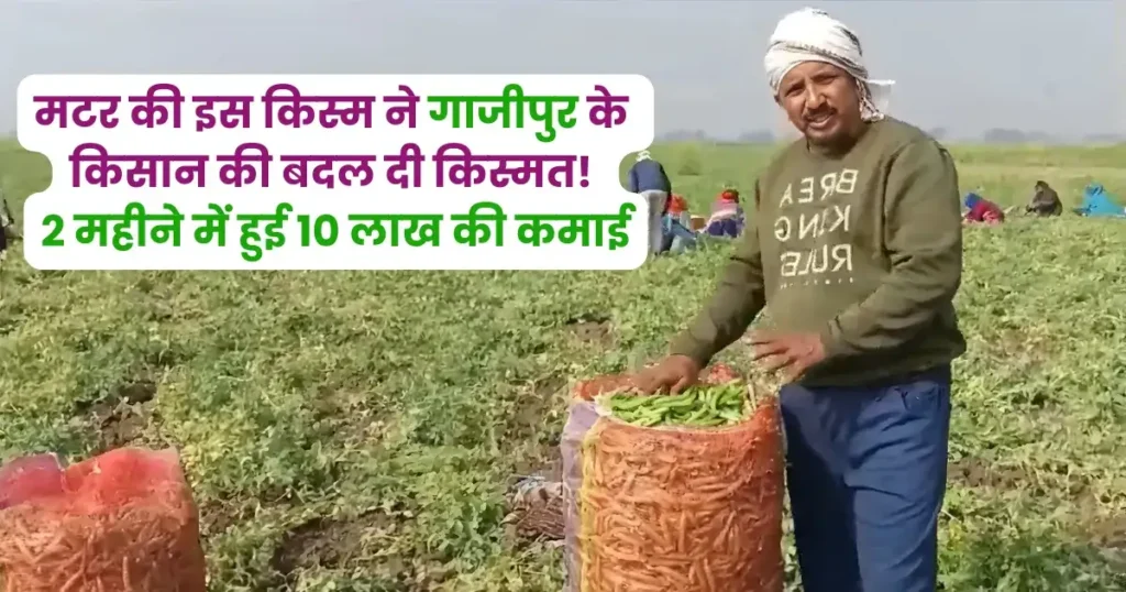 गाजीपुर