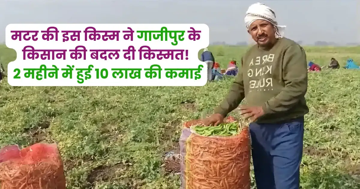 गाजीपुर