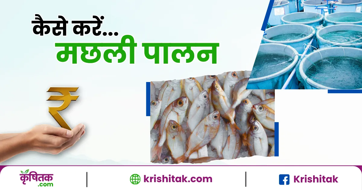 Village Fish Farming