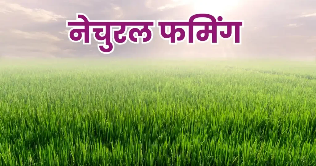 प्राकृतिक खेती
