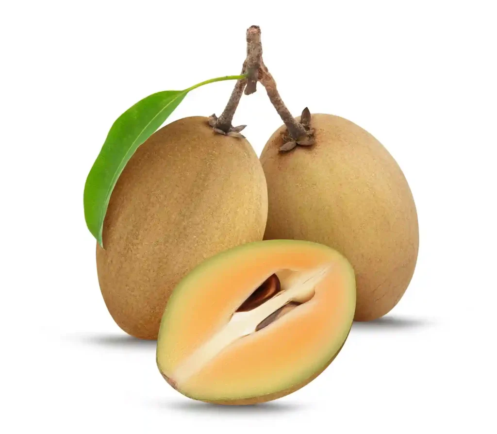 Chikoo Organic Farming