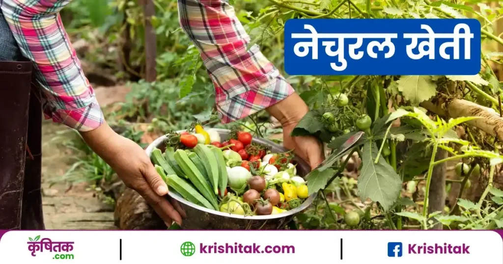 उत्तर प्रदेश