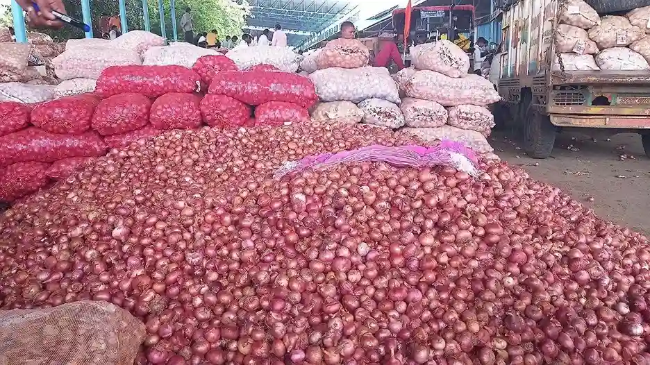Onion Mandi Bhav