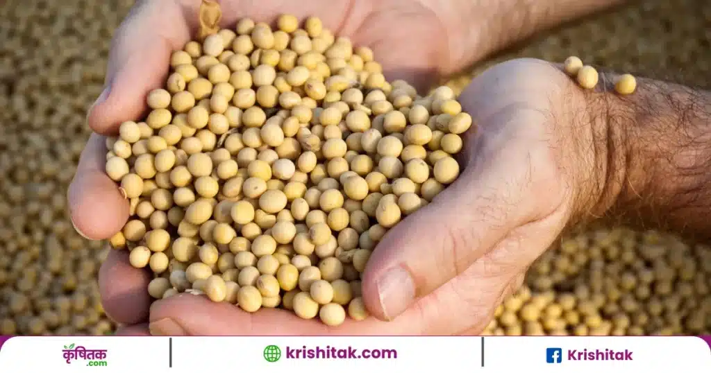 Soyabean Procurement