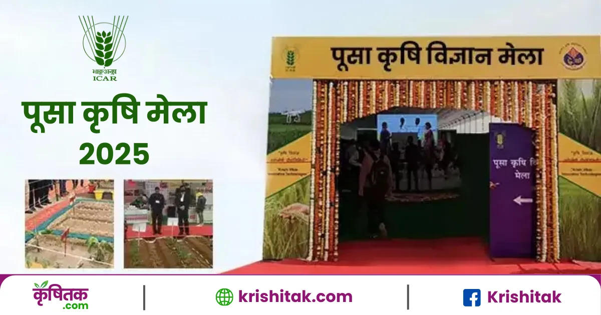 पूसा कृषि मेला