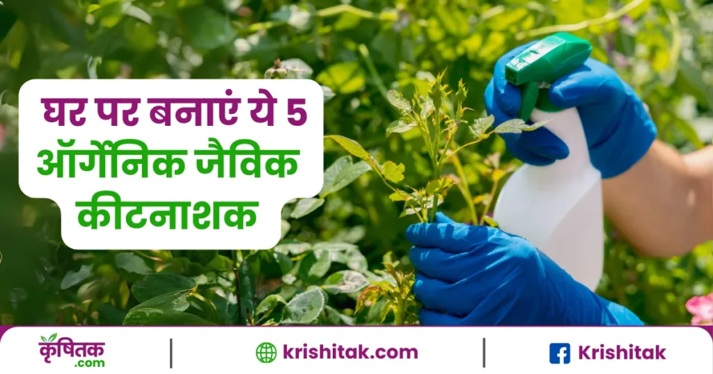 घर पर बनाएं ये 5 दमदार ऑर्गेनिक पेस्टिसाइड्स – पौधों से होगा कीड़ों का खात्मा