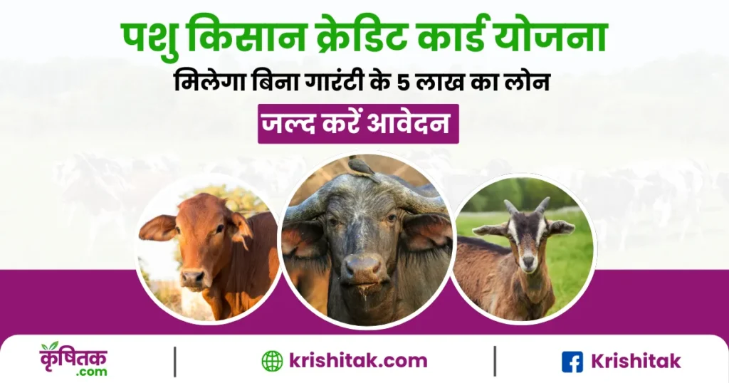 Pashu Kisan Credit Card
