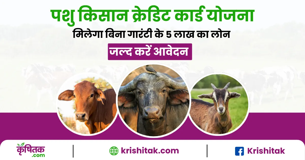Pashu Kisan Credit Card