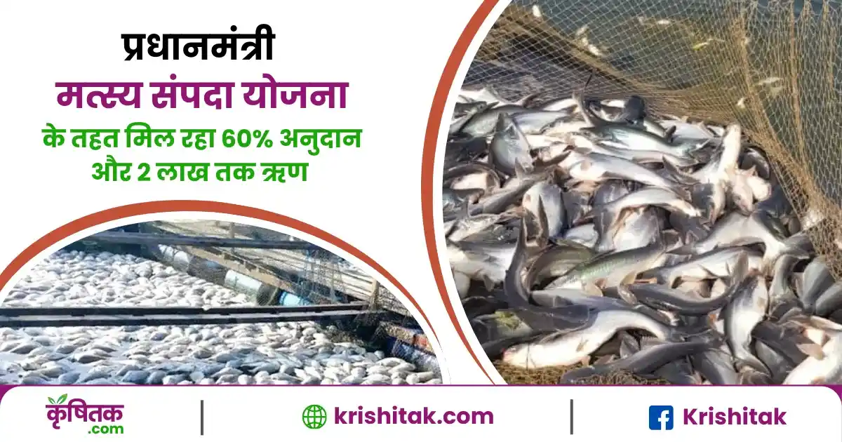 प्रधानमंत्री मत्स्य संपदा योजना