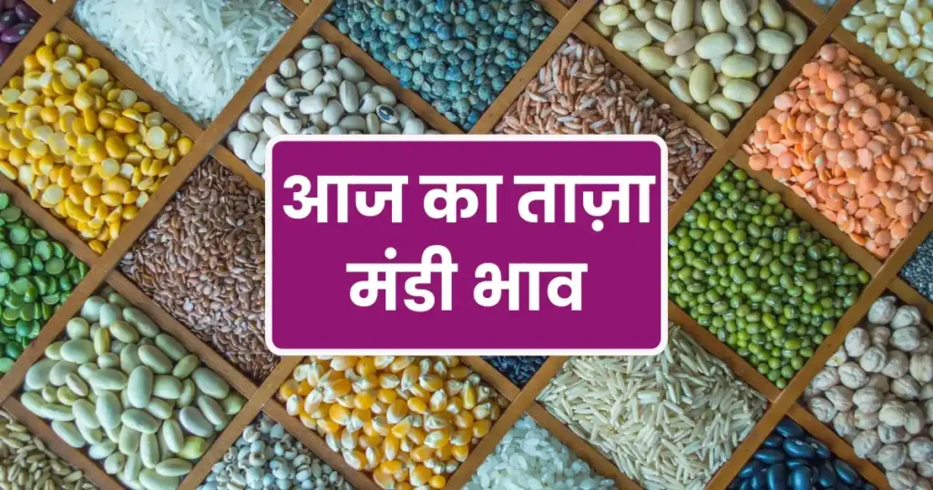 Today Mandi Rate