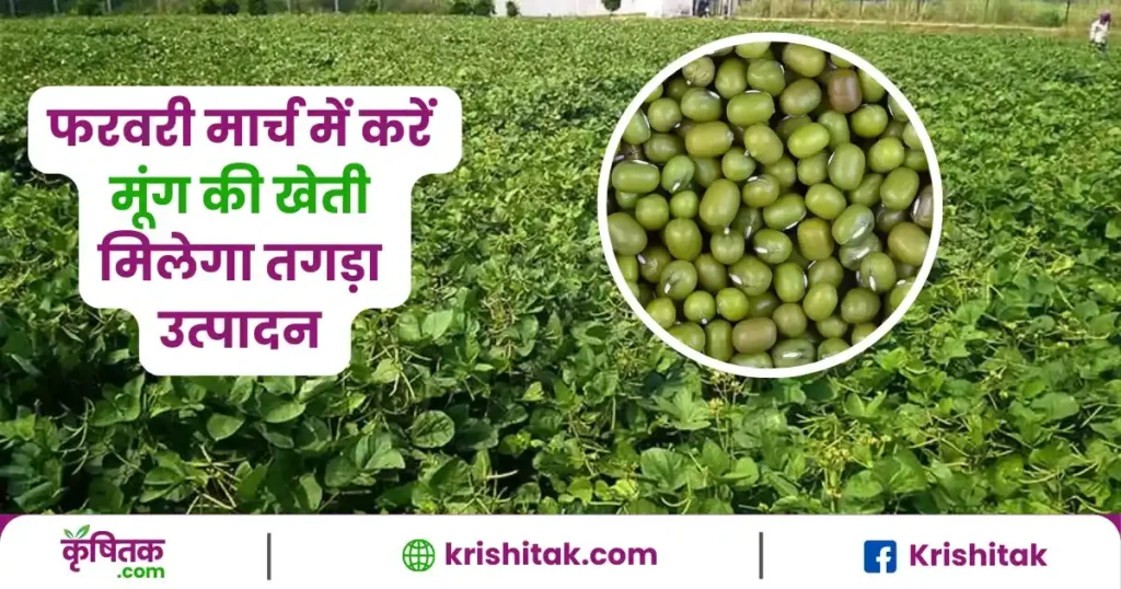 Moong Ki Kheti