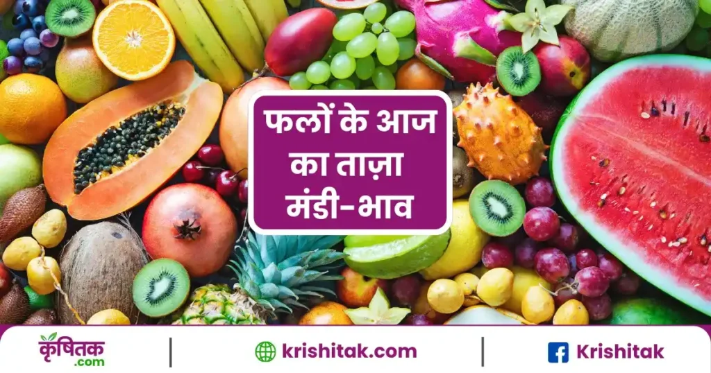 Fruits Mandi Bhav