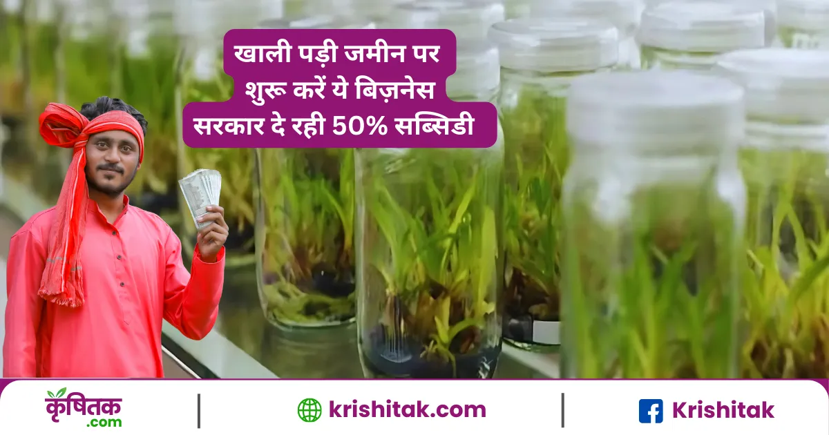 tissue culture lab
