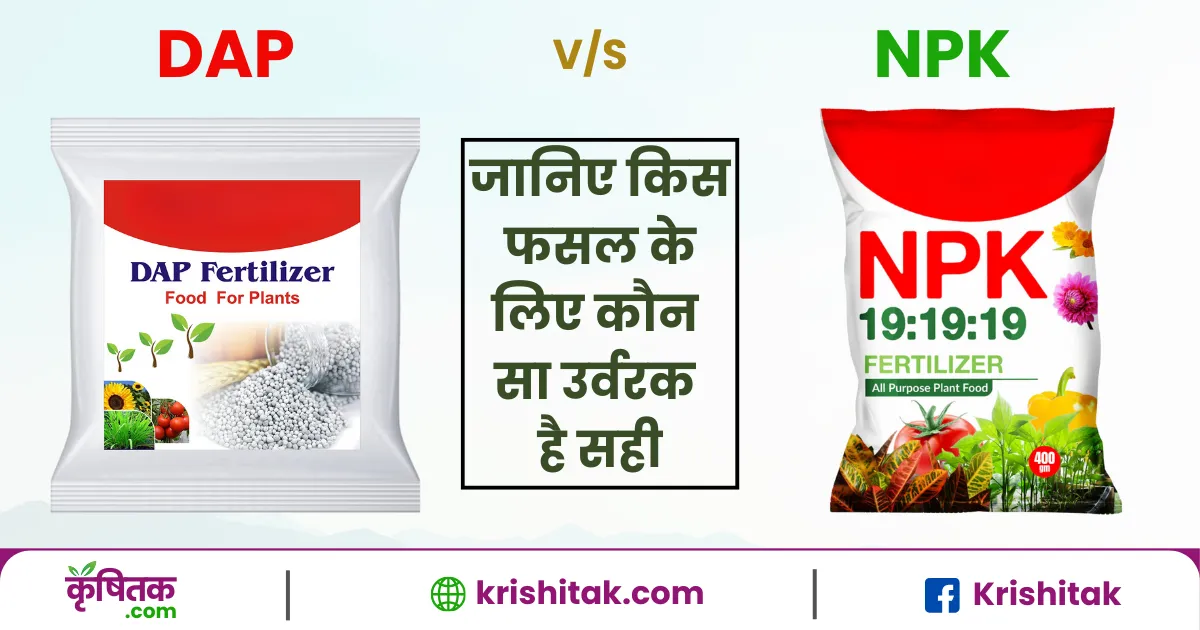 DAP aur NPK ke fayde
