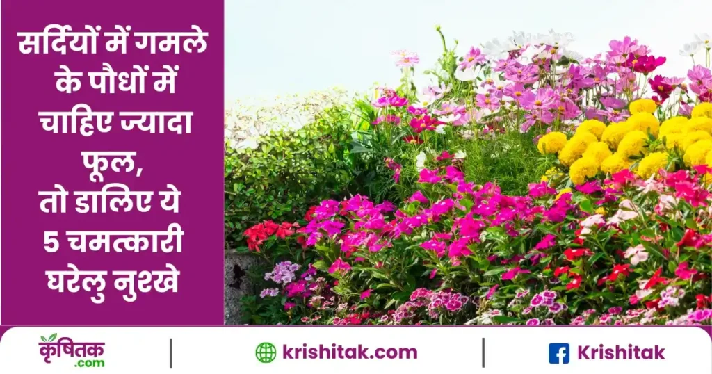 Gardening Tips