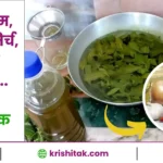 Organic Insecticides