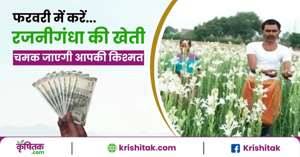 Rajnigandha ki kheti