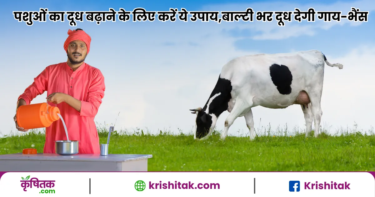 Milk Production tips