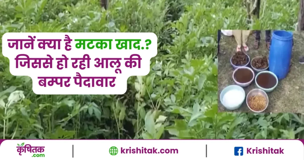मटका खाद
