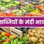 Vegetables Mandi Rate