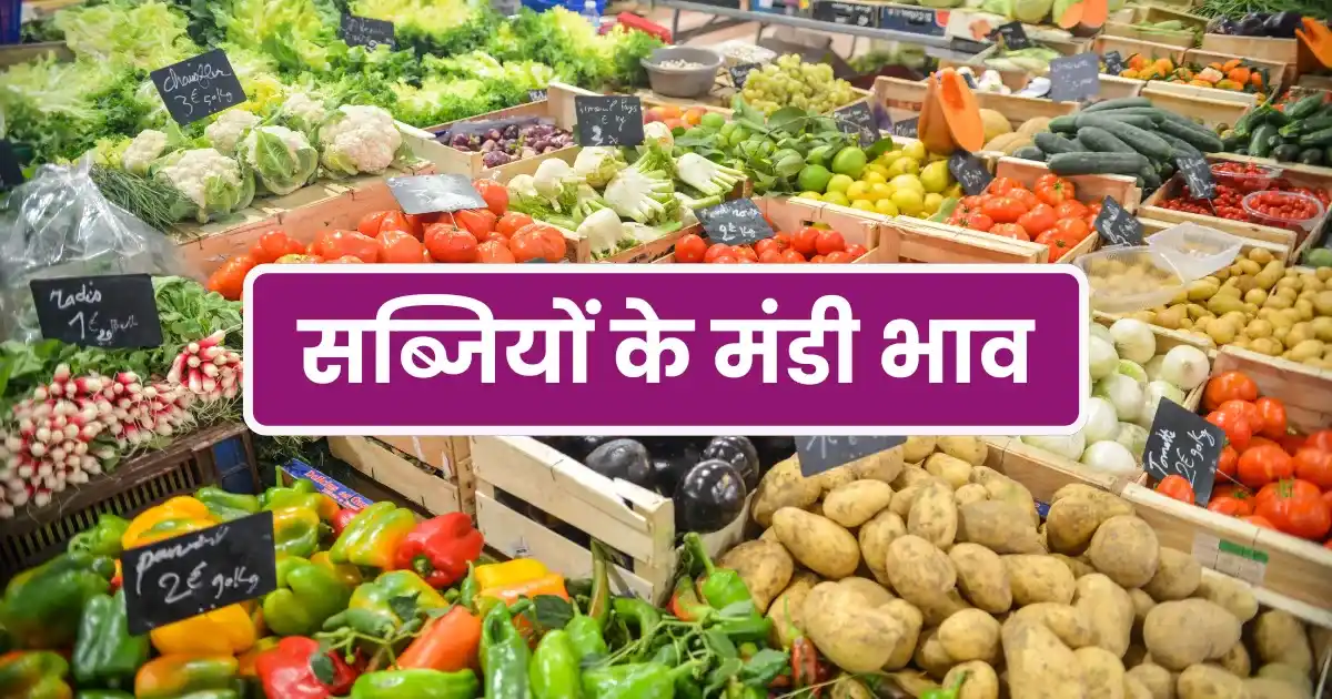 Vegetables Mandi Rate