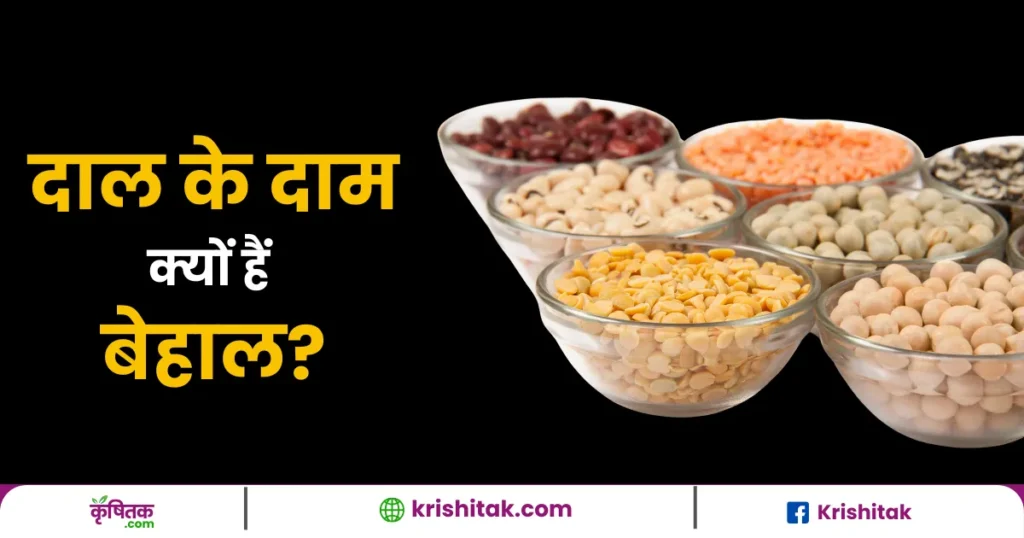 Pulses Price