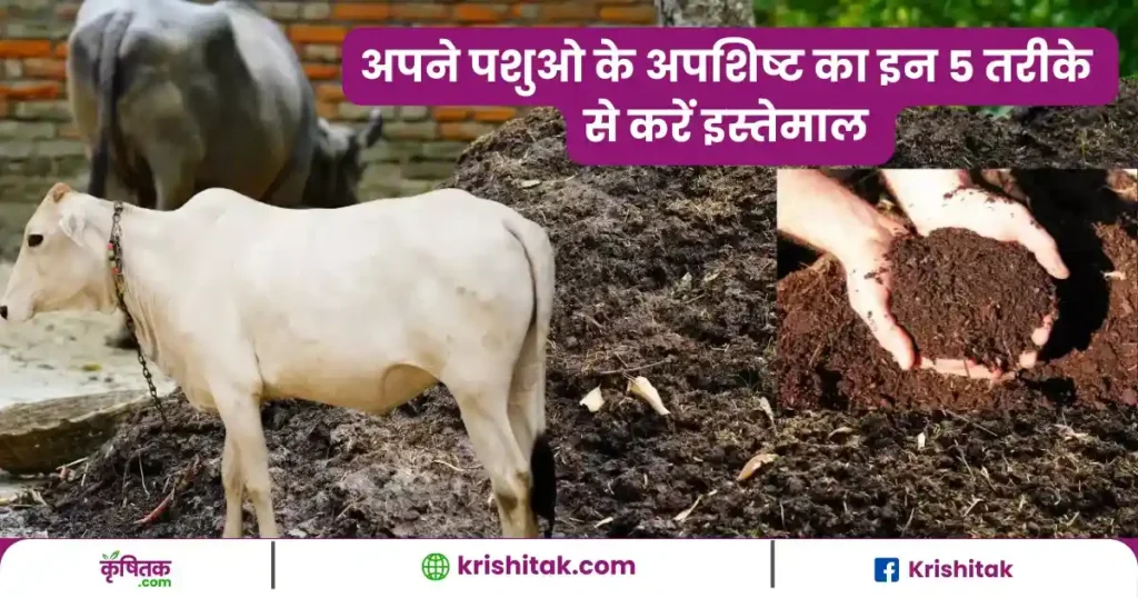 Animal husbandry waste management