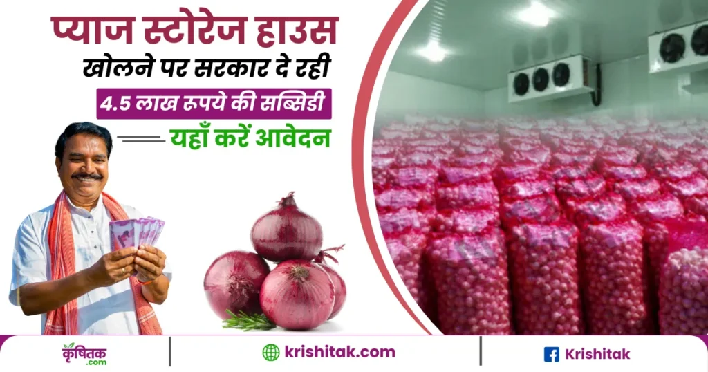 प्याज स्टोरेज हाउस