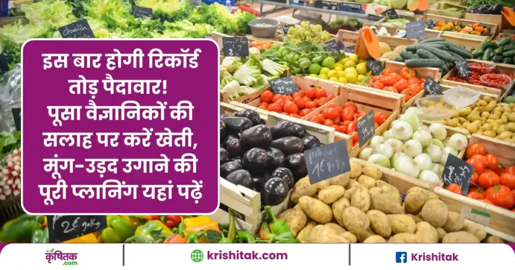 पूसा वैज्ञानिकों की सलाह: इस मौसम में करें इन सब्जियों की खेती, जानें मूंग-उड़द की बुवाई का बेस्ट टाइम