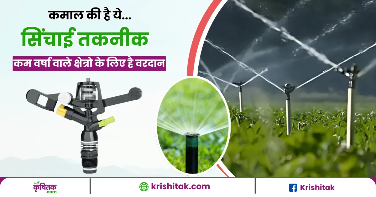 Sprinkler sinchai