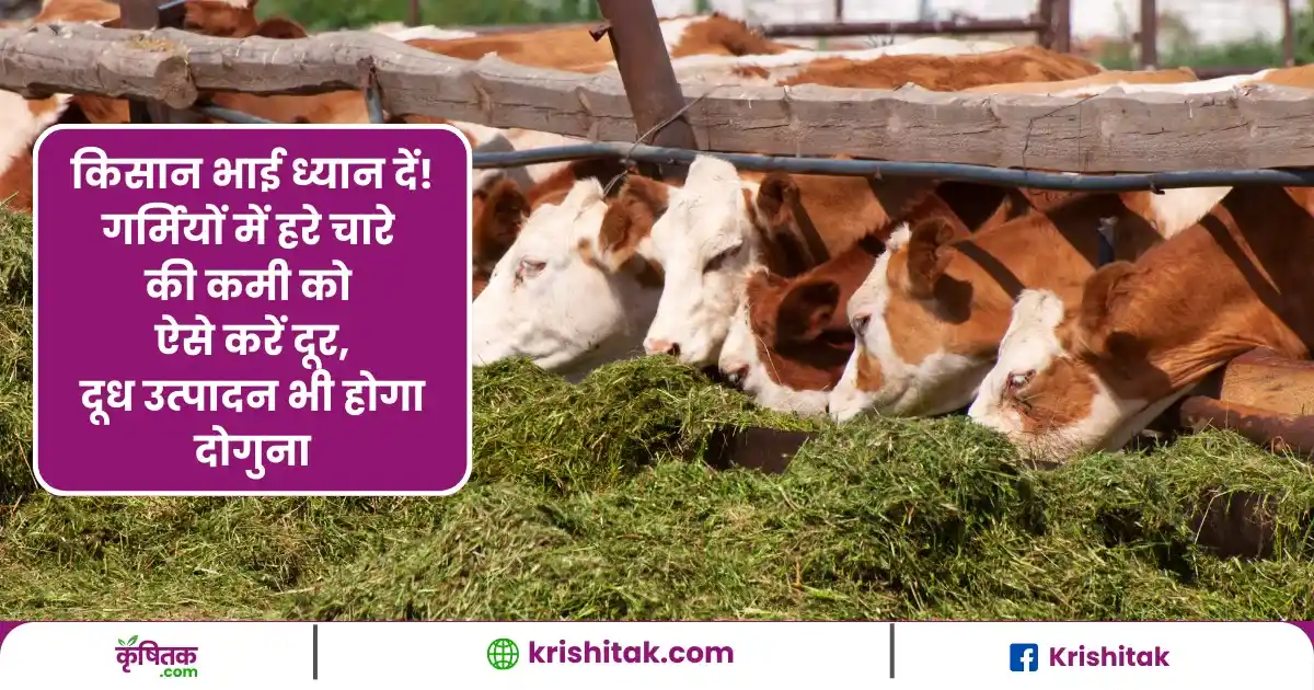 hare-chaare-ko-kami-ko-aise-karen-dur