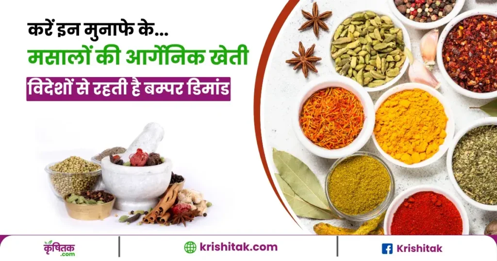 Profitable Organic Spices Farming in india