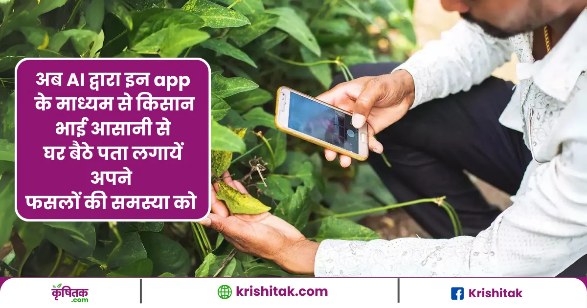 AI बेस्ड क्रॉप डिजीज डिटेक्शन सॉफ्टवेयर