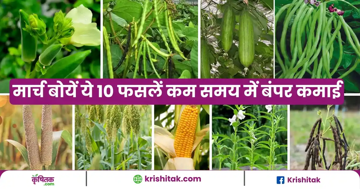 Cultivate 10 Crops In March