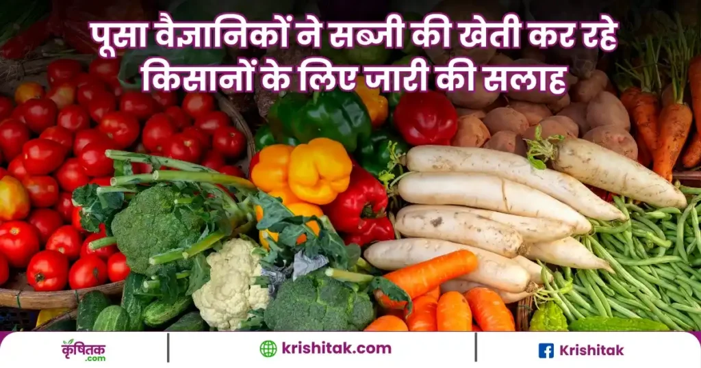 Pusa Scientists Advice