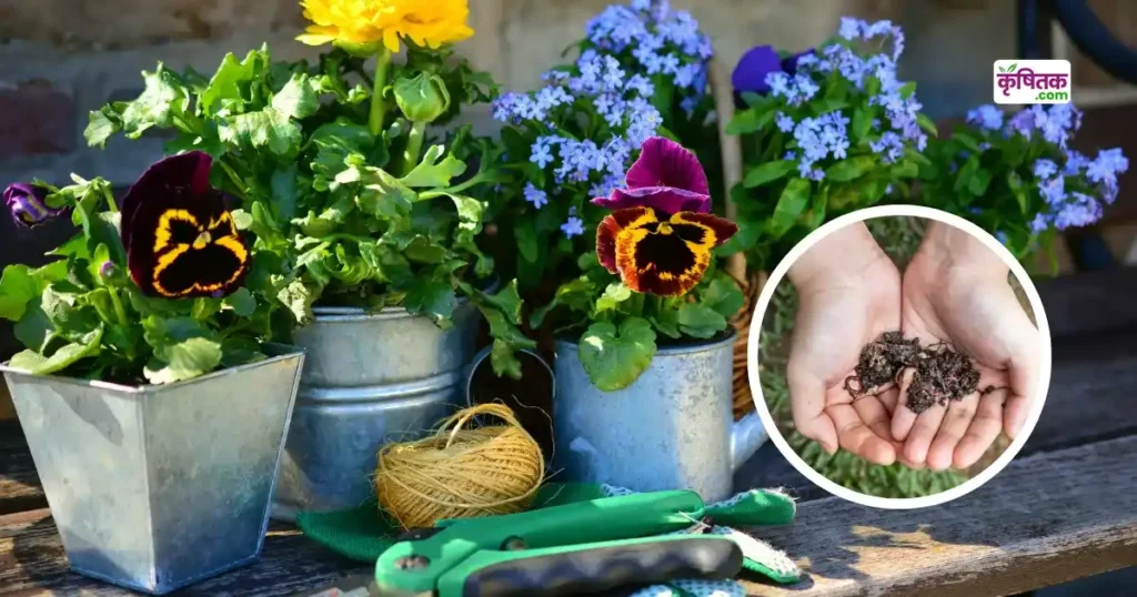 Cool Compost for Plants