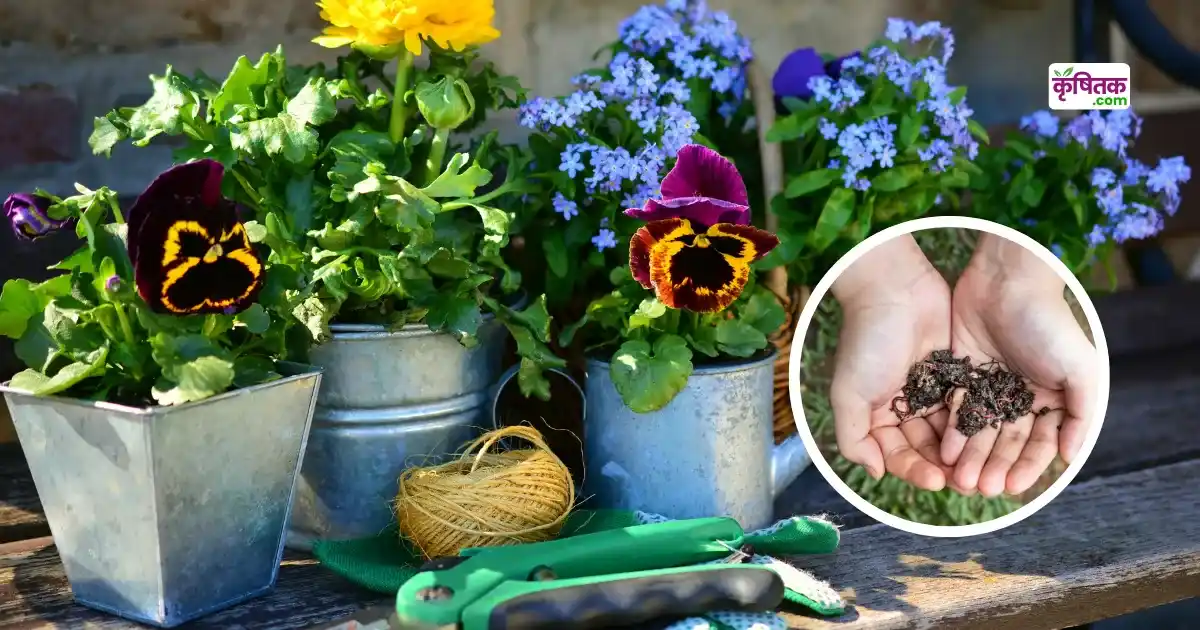 Cool Compost for Plants