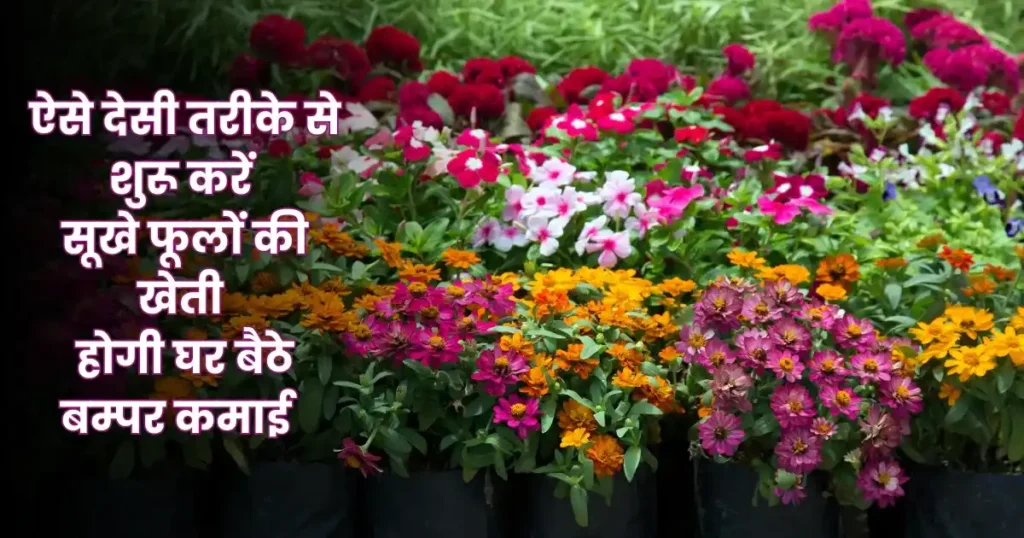 Dry Flower Business