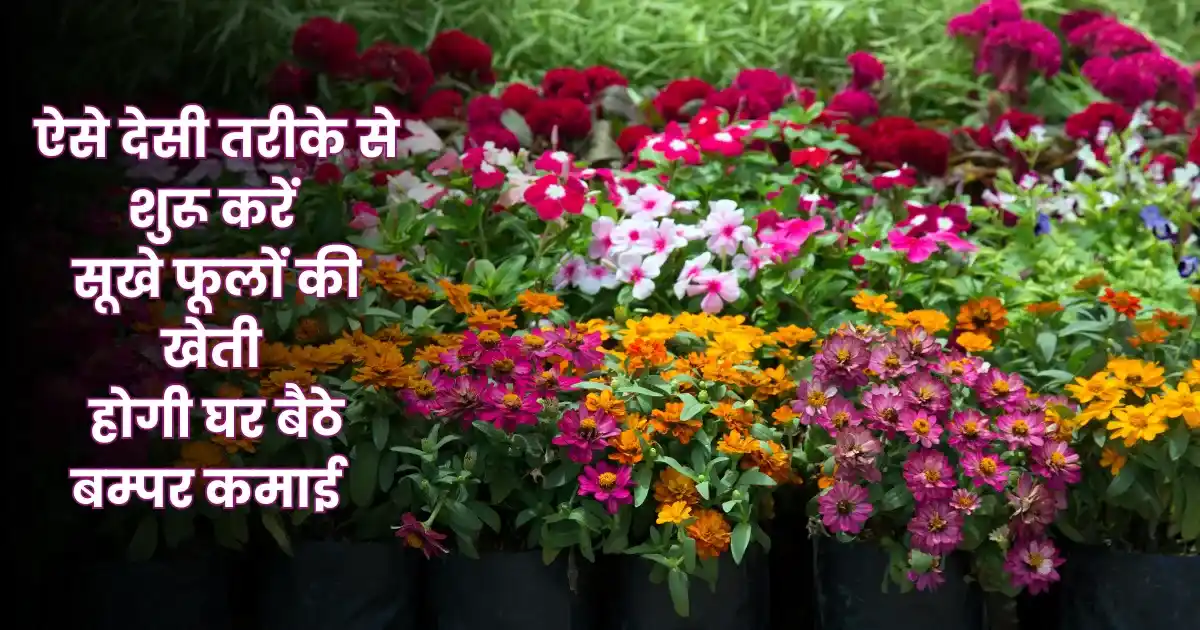 Dry Flower Business